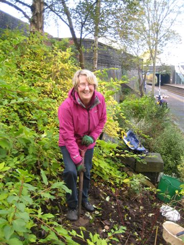 Bulb planting on station Nov 2012